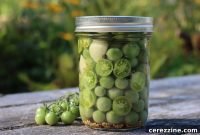 Tangy Green Tomato Treasures