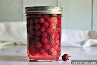Gooseberry Jars for Winter