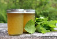 Crafting Herbal Jelly Sweet and Savory