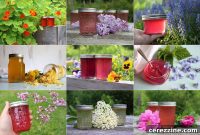 Blossom Jellies Over Twenty Recipes