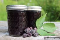Velvet Black Raspberry Jelly