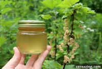Sparkling White Currant Preserve