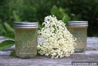 Sparkling Elderflower Jelly