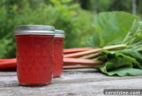 Create and Can Rhubarb Juice Concentrate