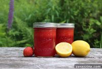 Summer Strawberry Lemonade Concentrate
