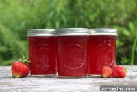Fresh Berry Juice for Winter