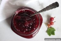 Tangy Gooseberry Delight