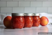 Nectarine Sunshine Spread