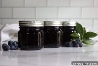 Natural Blueberry Preserve