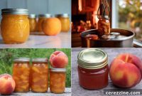 30+ Irresistible Peach Canning Recipes