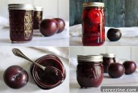 The Definitive Guide to Plum Canning More Than Thirty Recipes