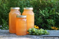 Homemade Grape Elixir in Jars