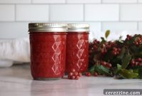 Wild Autumn Olive Preserve