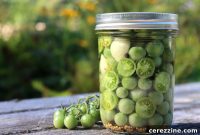 Over Two Dozen Green Tomato Canning Recipes