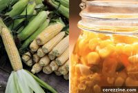Homemade Tangy Corn Salad Jars