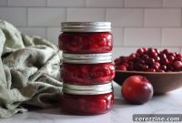 Tart Cranberry Apple Preserve