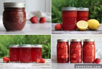 Preserve Summer’s Sweetness: 30+ Strawberry Canning Ideas