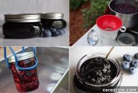 30+ Blueberry Canning Delights