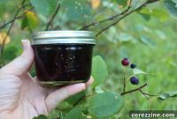 Prairie Wild Saskatoon Jelly