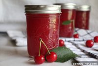 Crimson Cherry Delight