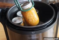 Mastering Electric Pressure Canning