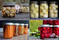 The Ultimate Guide Over Thirty Root Vegetable Canning Recipes