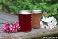 Spring Blossom Jelly Apple Cherry Peach Pear