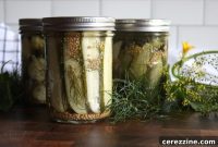 Briny Dill Batons