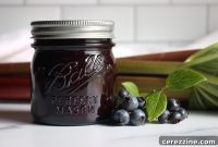 Berry Rhubarb Bliss