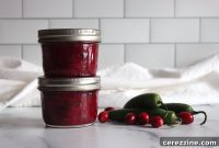 Sweet and Tangy Cranberry Salsa