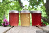 Sun-Kissed Clover Jelly