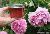 Blushing Peony Jelly