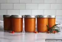 Golden Sea Buckthorn Elixir