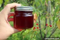 Wild Pin Cherry Jelly