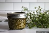 Brined Young Coriander Pearls