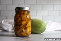 The Danish Asier Pickle