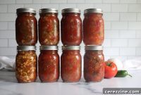 The Ultimate Salsa Canning Collection 50 Recipes
