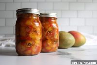 Vibrant Chipotle Mango Salsa