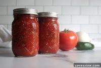 Robust Tomato Salsa with Tomato Paste