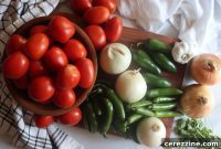 Robust Paste Tomato Salsa