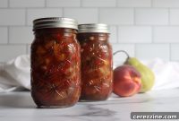 Honey Balsamic Summer Fruit Salsa