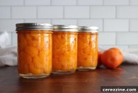 Preserving Citrus Sunshine