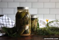 Zesty Kosher Dill Pickles