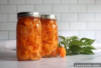 Fiery Habanero Pickles