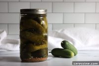 Sour Pickle Delights