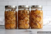 Homemade Chicken & Gravy Jars: A Canning Guide