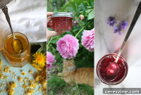 Safely Canning Flower Jellies What You Need to Know