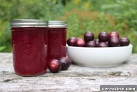 Southern Muscadine Elixir