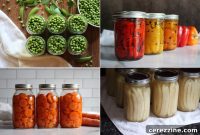 100+ Vegetable Canning Recipes and Go-To Vegetarian Jar Meals