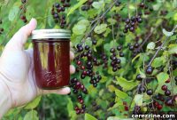 Chokecherry Jelly Syrup Duo